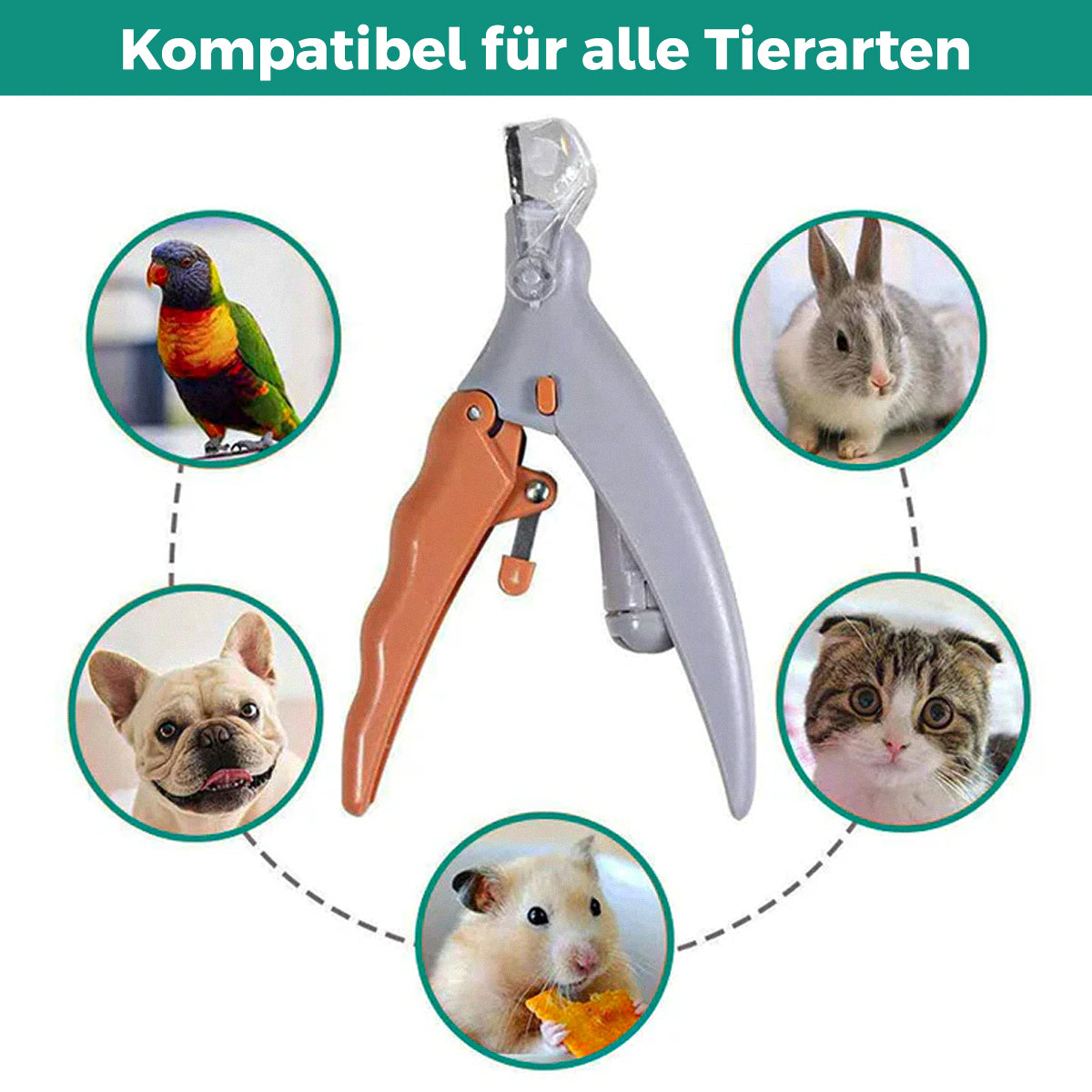 PetSafe - LED Nagelknipser Voor Honden & Katten Met Veiligheidssensor