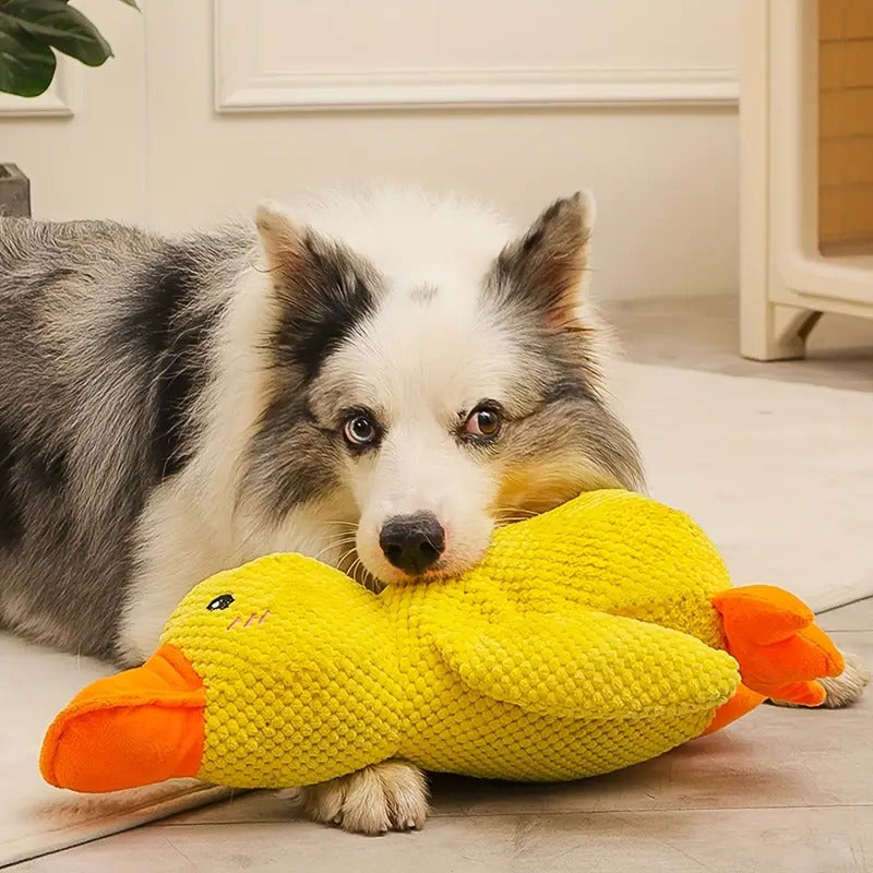 Rubber squeaker duck toy designed for durable and safe dog chewing play