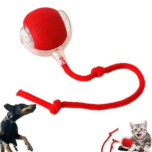 Durable interactive pet toy for cats and dogs with touch activation