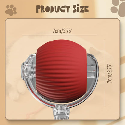 Smart interactive pet toy for cats and dogs with touch activation and durable design