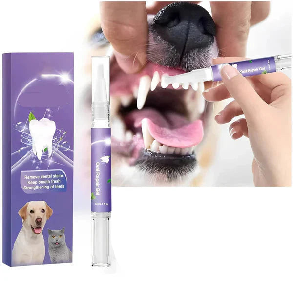 Oxyfresh Dog Oral Gel teeth and gum care product, 3-count kit
