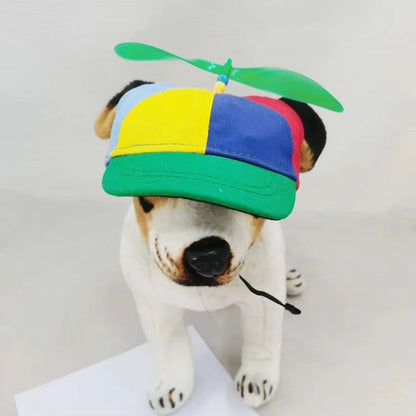 Colorful Pet Propeller Hat designed by Pet Pal
