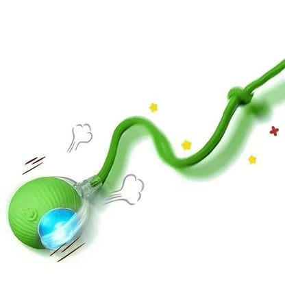 Rechargeable interactive pet toy with advanced technology for dogs and cats.