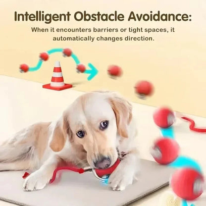 Pet owners can control the PetPal Pro Rechargeable Interactive Toy from a distance.