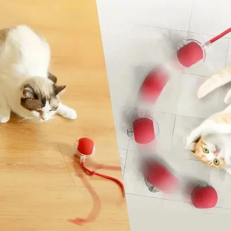 Features of the PetPal Pro Rechargeable Interactive Toy for Dogs and Cats.