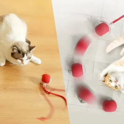 Features of the PetPal Pro Rechargeable Interactive Toy for Dogs and Cats.