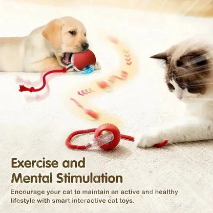 The PetPal Pro Rechargeable Interactive Toy for Pets provides mental stimulation.