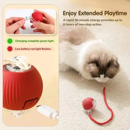 Product image of the PetPal Pro Rechargeable Interactive Toy in use.