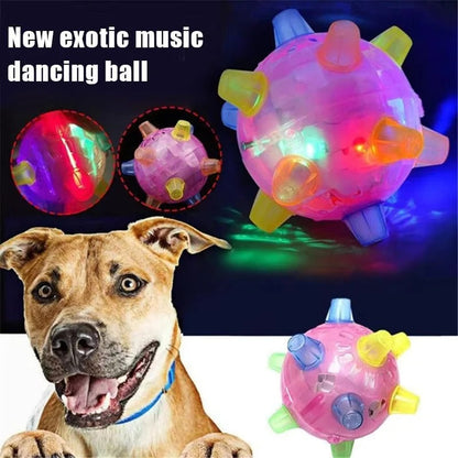Close-up of interactive dog toy with LED lights and sound