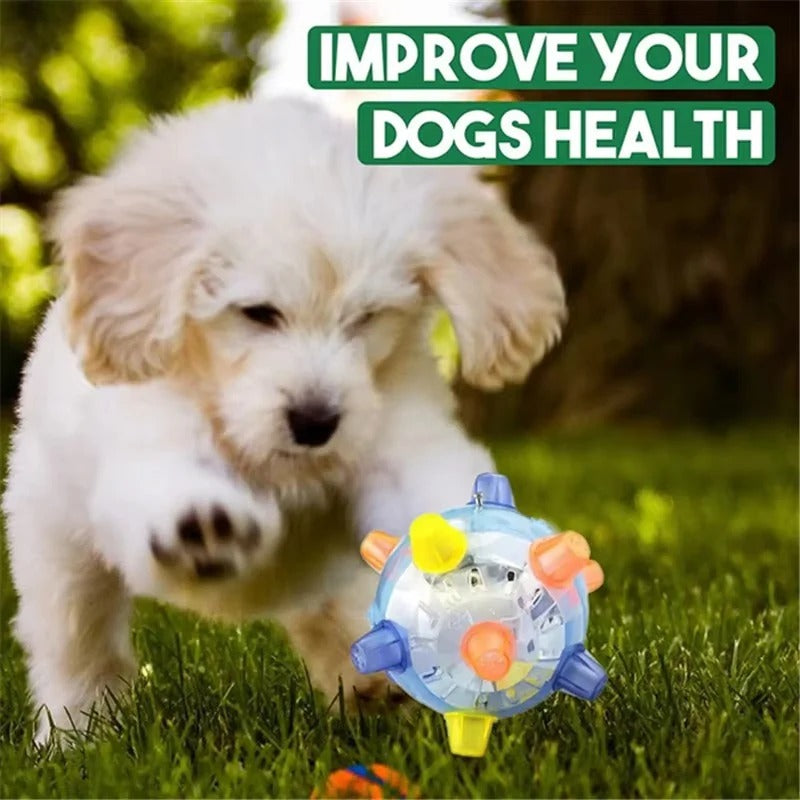 Dog interacting with interactive bouncing toy with LED lights and sound