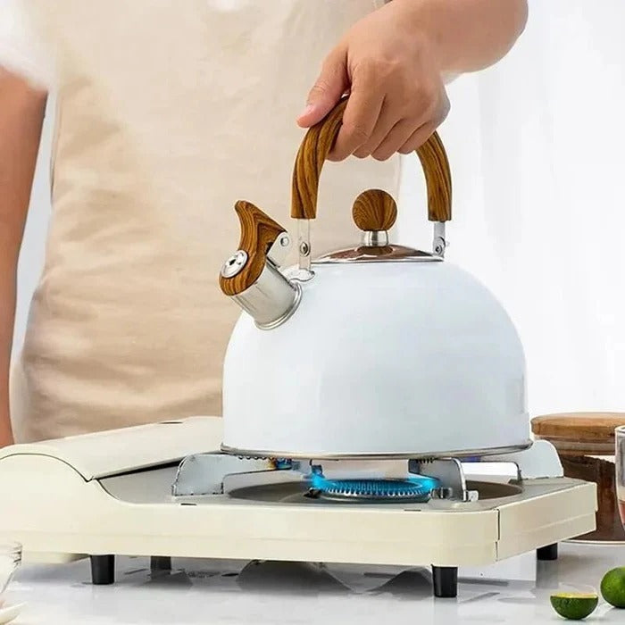 Stainless Steel Kettle, Whistling Alert for Gas and Induction Stoves