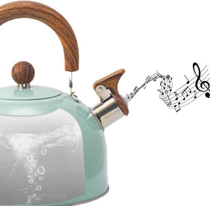 Stainless Steel Kettle, Whistling Alert for Gas and Induction Stoves