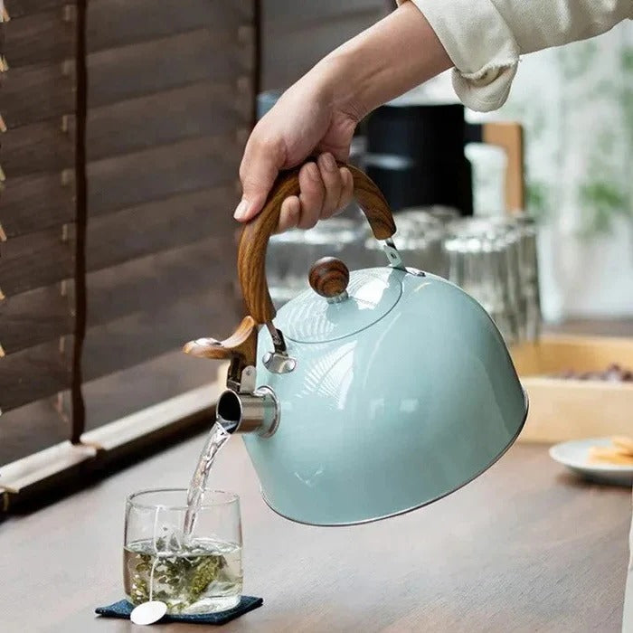 Stainless Steel Kettle, Whistling Alert for Gas and Induction Stoves