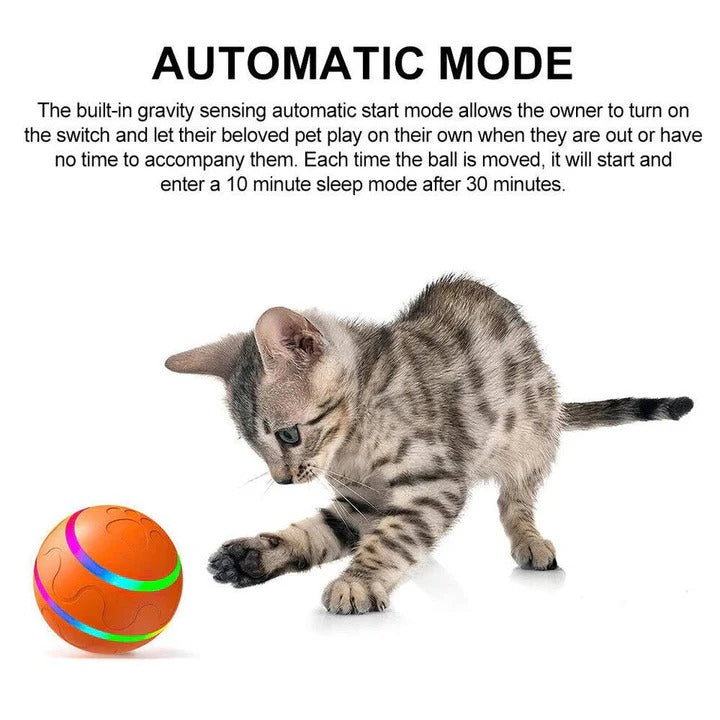 Whisker Wonders Interactive Motion Ball Toy, Encouraging Physical Activity