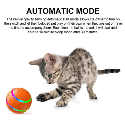 Whisker Wonders Interactive Motion Ball Toy, Encouraging Physical Activity