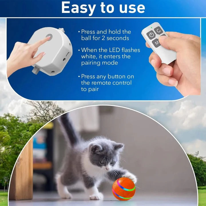 Interactive Motion Ball Toy for Pets, Promoting Exercise and Fun