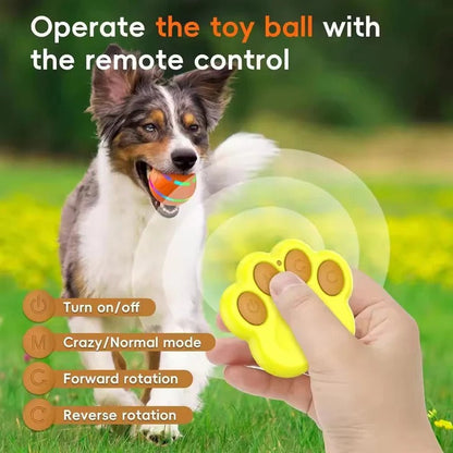 Whisker Wonders Motion Ball Toy with Interactive Motion Feature