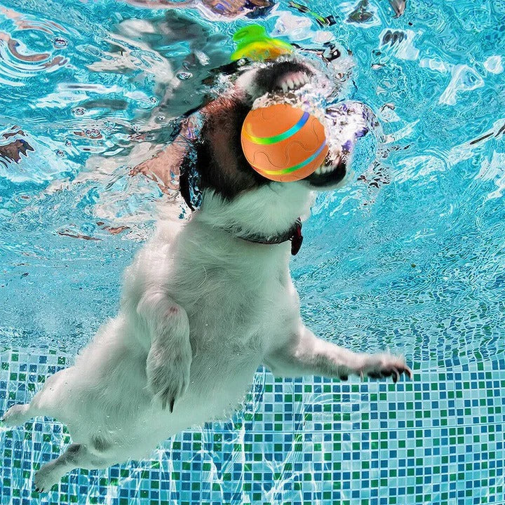 Pet Motion Ball Toy, Stimulating Whiskers and Encouraging Play