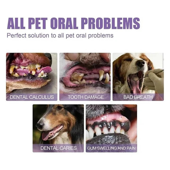 Dog oral care with Oxyfresh 3-count Gel teeth and gum care