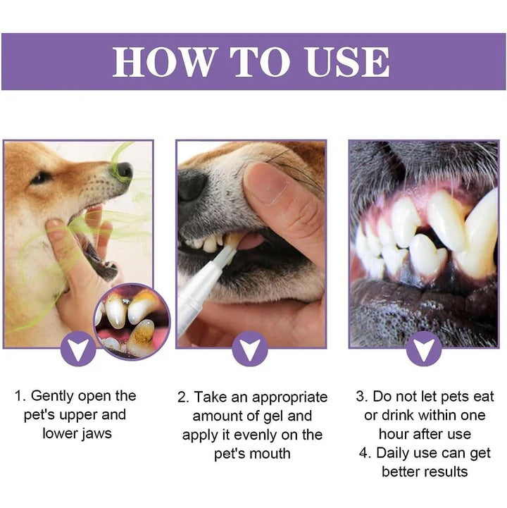 3-count teeth and gum care Oxyfresh Dog Oral Gel