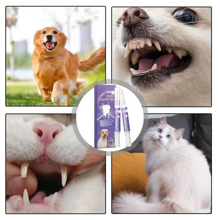Oxyfresh Dog Oral Gel, 3-count for teeth and gum care