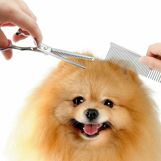 7 Inch Steel Blade Dog Grooming Scissors Kit with Ergonomic Handles