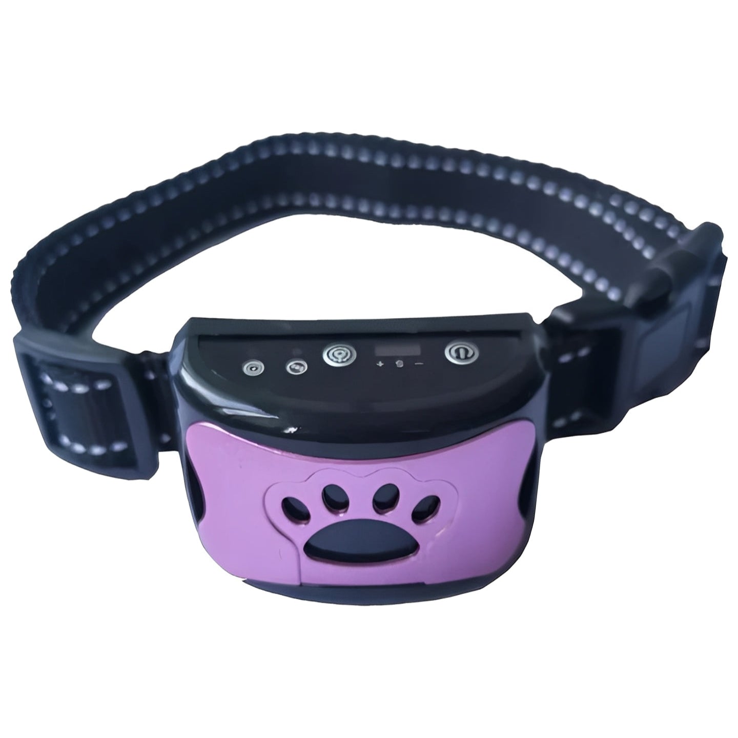 Dog wearing adjustable anti-bark training collar with gentle pulse modes during training.