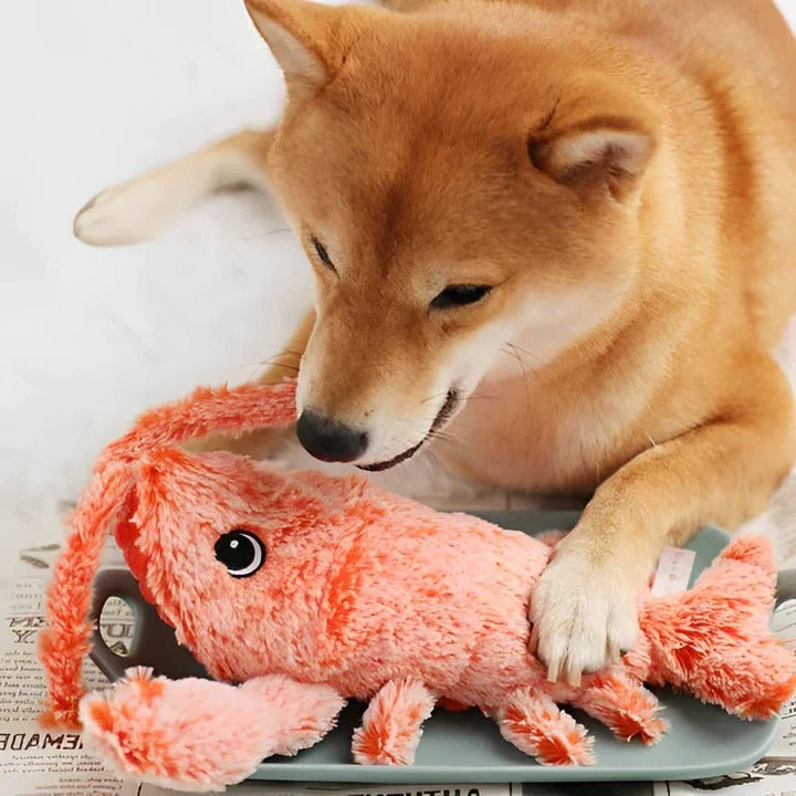 Interactive motion-activated dog toy designed like a floppy lobster for canine fun and engagement