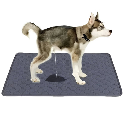 Reusable and disposable dog training pads for indoor use and pet owners