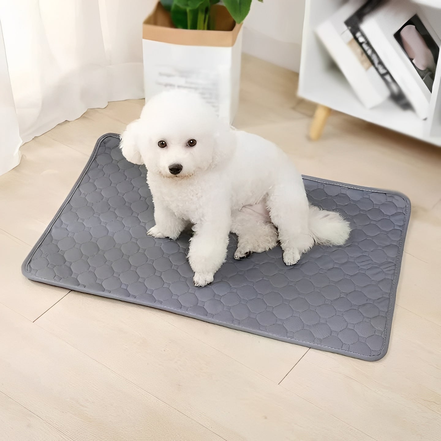Indoor dog training pads for easy and mess-free potty training at home
