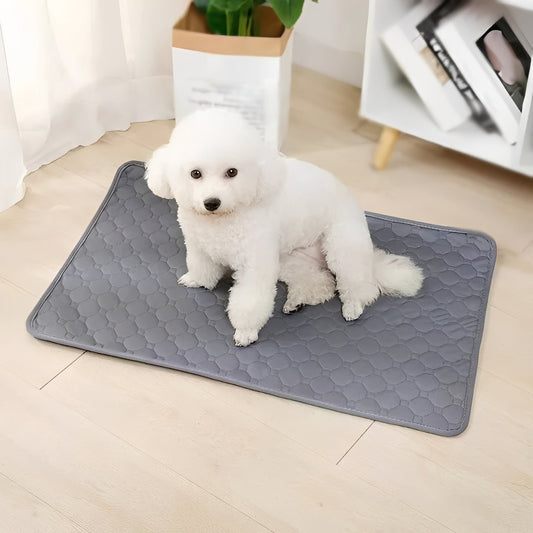 Indoor dog training pads for easy and mess-free potty training at home