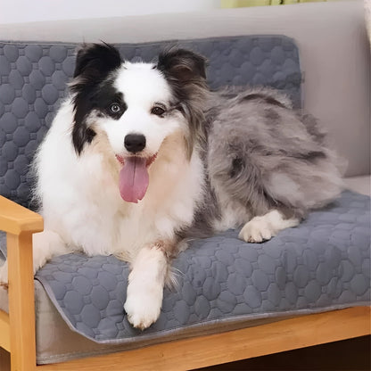 Dog training pads for indoor use, promoting healthy and clean potty habits