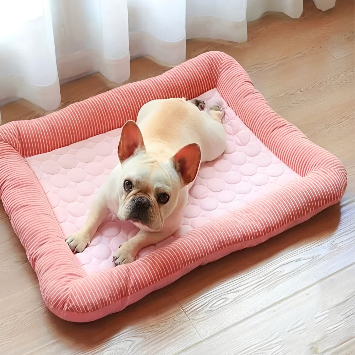 Portable Dog Cooling Mat Bed with Breathable Ice Fabric for canine comfort