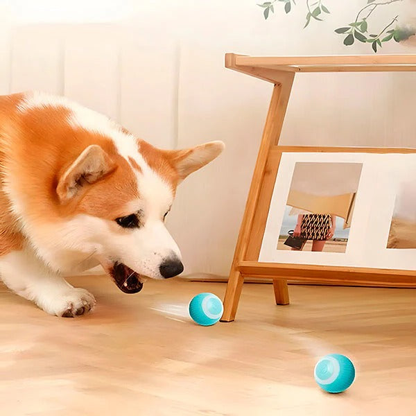 Interactive Rechargeable Ball Toy for Cats and Dogs, Playtime Fun