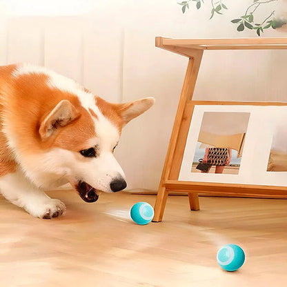 Interactive Rechargeable Ball Toy for Cats and Dogs, Playtime Fun