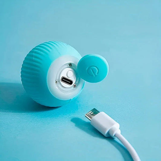 Interactive Rechargeable Fun Ball Toy for Cats and Dogs, Automatic Rolling Toy