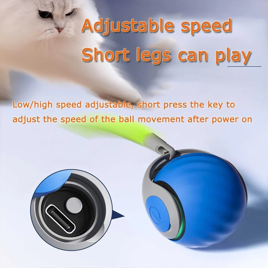 Close-up of Furry Frenzy Motion Activated Cat Toys 2 Pack and feather tail attachment.
