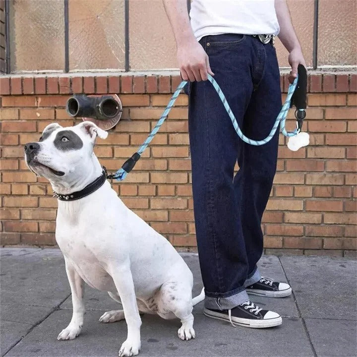 Eclipse padded reflective canine leash for enhanced safety features