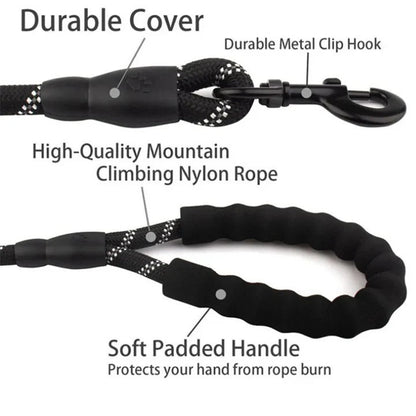 Reflective padded dog leash for improved visibility and safety