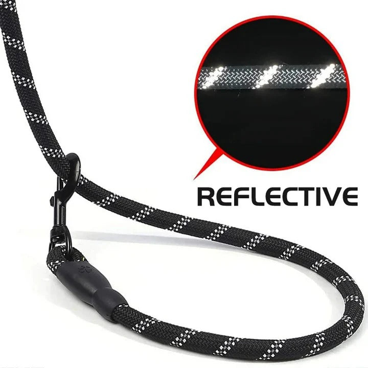 Padded and reflective dog leash for secure evening adventures