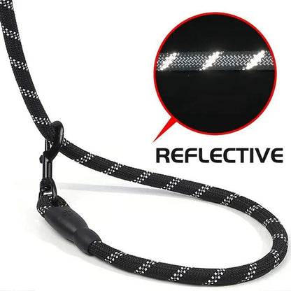 Padded and reflective dog leash for secure evening adventures