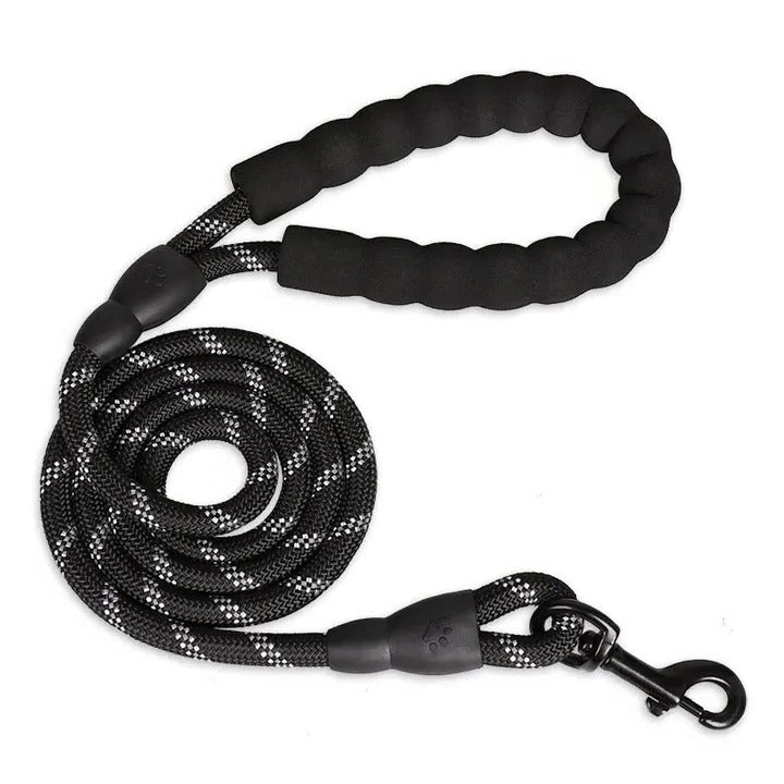High-visibility padded canine leash for enhanced safety