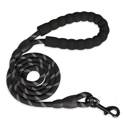 High-visibility padded canine leash for enhanced safety