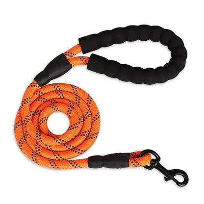 Padded and reflective dog leash for secure daily walks