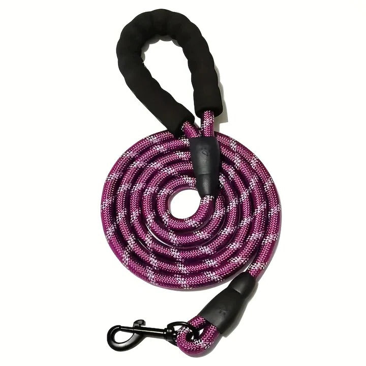 Reflective padded dog leash for improved nighttime strolls