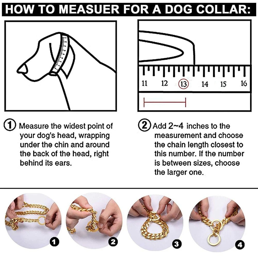 Close-up of a stainless steel chain dog collar available in durable colors.