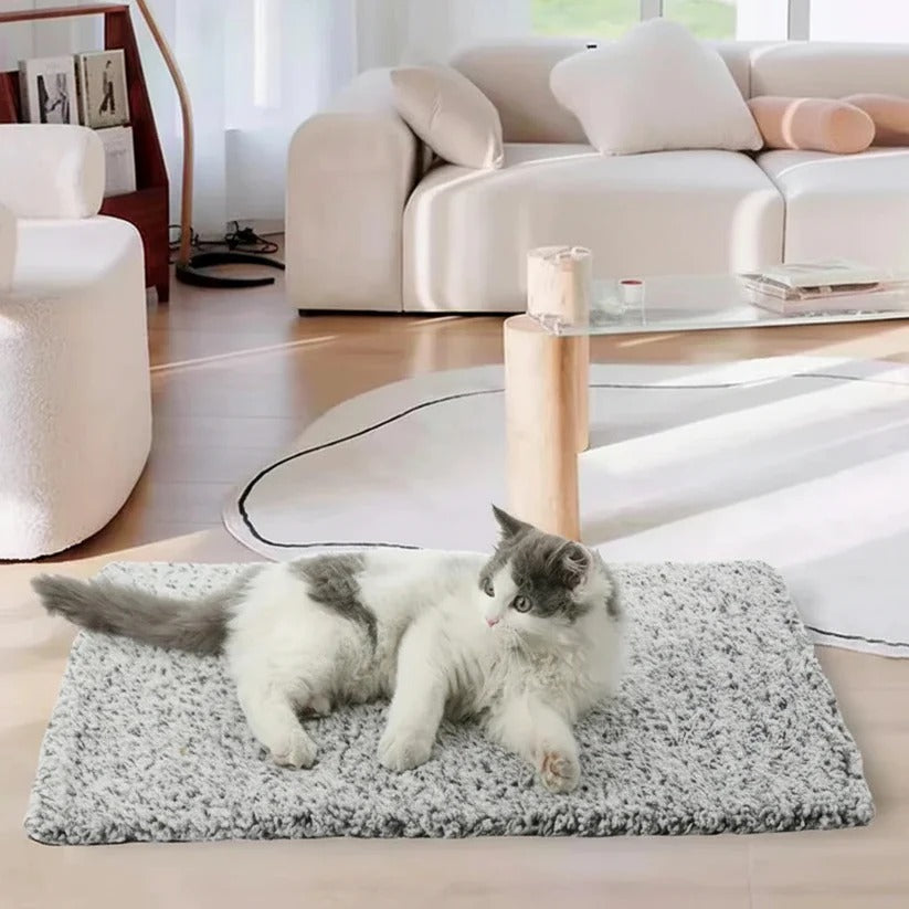 Close-up of the PetComfort heated washable pet mat in use, benefiting pets