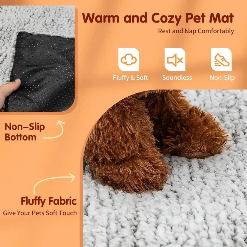 PetComfort heated washable pet mat, ideal for cats and dogs seeking warmth and comfort