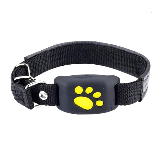 Trackimo GPS Pet Collar for real-time location tracking and geofence alerts