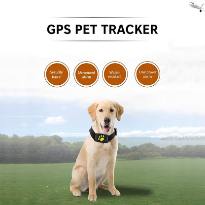 Keep your pet safe with real-time GPS tracking and customizable geofence notifications